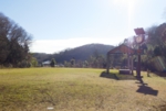 RIMG0781.JPG