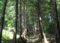 DSC_6401.jpg