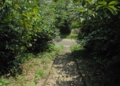 DSC_6358.jpg