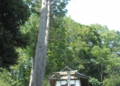 DSC_6359.jpg