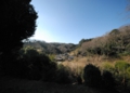 DSC_7194.JPG