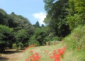 DSC_6369.jpg