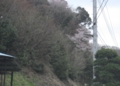 RIMG1129.JPG