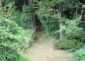 DSC_6332.jpg