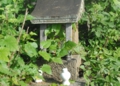 DSC_6645.jpg