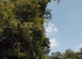 DSC_6281.jpg
