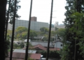 DSC_6271.jpg