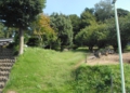DSC_6244.JPG