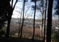 DSC_7156.JPG