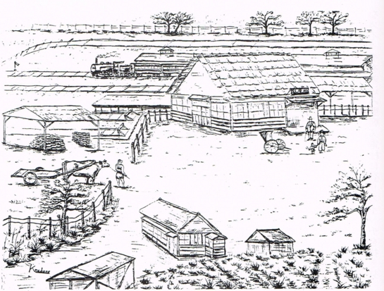 AIHARA2.jpg