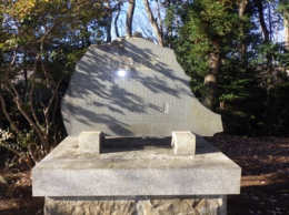 RIMG0285.JPG