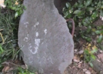 RIMG0181-2.jpg