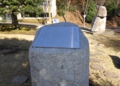 RIMG0205.JPG