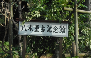 DSC_6634.JPG
