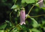 DSC_8139.JPG