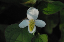 DSC_8166.jpg