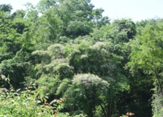 DSC_0104.JPG