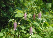 DSC_8140.JPG