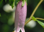 DSC_8142.jpg