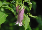 DSC_8143.JPG