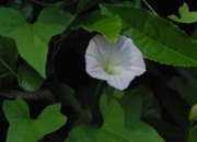 DSC_8144.jpg
