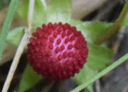 photo1.jpg