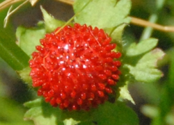 photo1.jpg