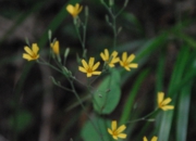 DSC_8276.JPG