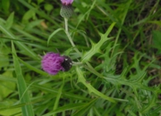 DSC_8323.jpg