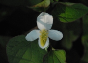 DSC_8166.jpg