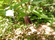 DSC_7933.jpg