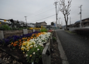 DSC_7532.JPG