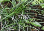 DSC_1317.JPG