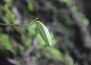 DSC_1482.JPG