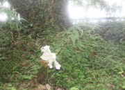 DSC_1691.JPG