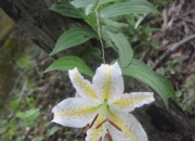 DSC_1694.jpg