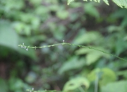 DSC_1941.JPG