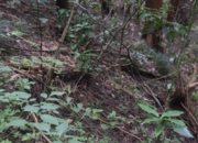 DSC_1948.JPG