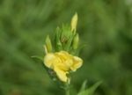 DSC_2045.JPG