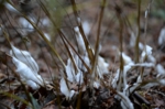 DSC_0395.jpg