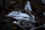 DSC_0399.jpg