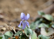 DSC_3468.jpg