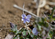 DSC_3467.jpg