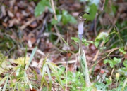 DSC_3828.jpg