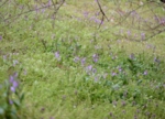 DSC_3865.jpg