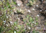 DSC_3643.jpg