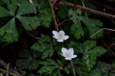 DSC_4114.jpg