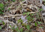 DSC_4628.jpg