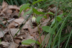 DSC_4620.jpg