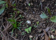 DSC_4725.jpg